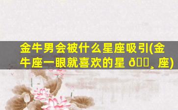 金牛男会被什么星座吸引(金牛座一眼就喜欢的星 🌸 座)